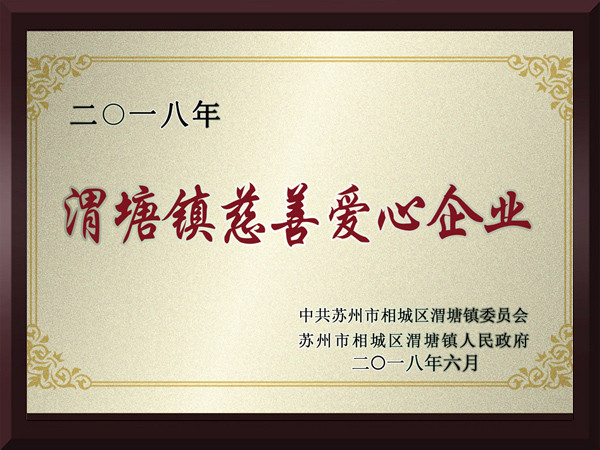 庄闲游戏渭塘镇慈善爱心企业